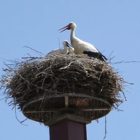Les Granges De Jadis *
